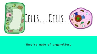Cells...Cells...