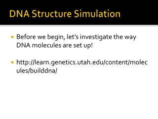 DNA Structure Simulation