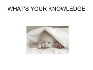 WHAT’S YOUR KNOWLEDGE