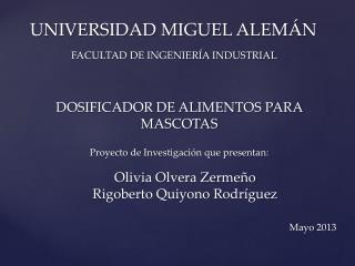 UNIVERSIDAD MIGUEL ALEM ÁN