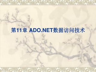 第 11 章 ADO.NET 数据访问技术