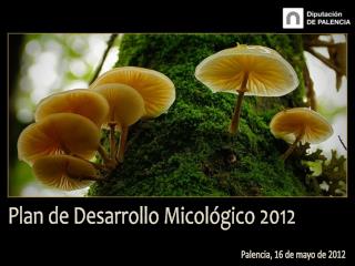 Plan de Desarrollo Micológico 2012