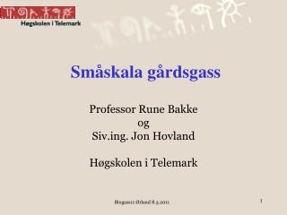 Småskala gårdsgass