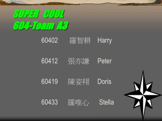 SUPER COOL 604-Team A3