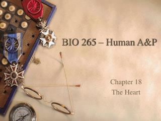 BIO 265 – Human A&amp;P