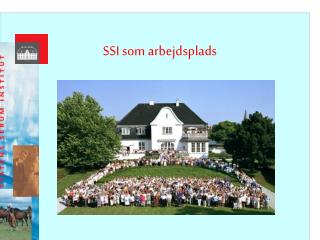 SSI som arbejdsplads