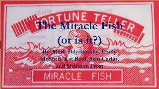 The Miracle Fish (or is it?)