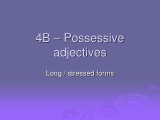 4B – Possessive adjectives