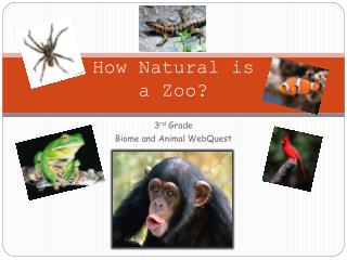 How Natural is a Zoo?