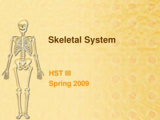 Skeletal System