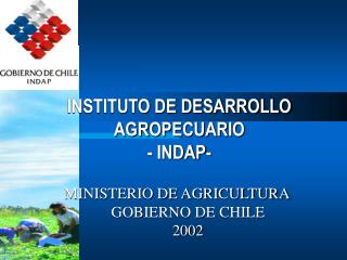 INSTITUTO DE DESARROLLO AGROPECUARIO - INDAP-