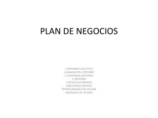 PLAN DE NEGOCIOS