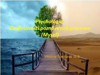 PsycholÃ³gia: ZaujÃ­mavosti poznÃ¡vacÃ­ch procesov (MyseÄ¾)