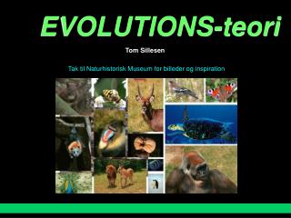 EVOLUTIONS-teori