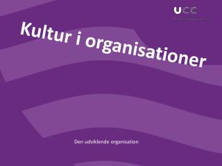 Kultur i organisationer