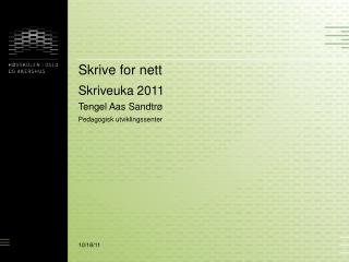 Skrive for nett