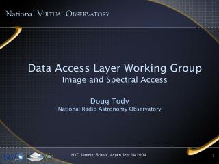 Data Access Layer Working Group Image and Spectral Access