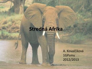 Stredná Afrika