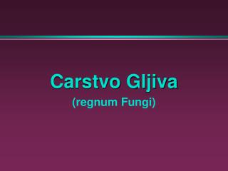 Carstvo Gljiva (regnum Fungi)