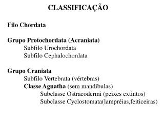 CLASSIFICAÇÃO