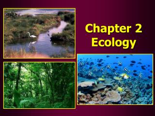 Chapter 2 Ecology