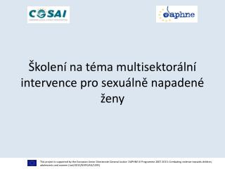 Školení na téma multisektorální intervence pro sexuálně napadené ženy