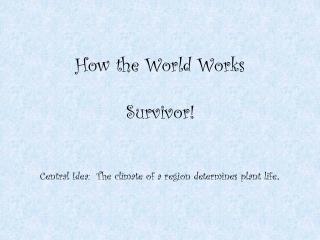 How the World Works Survivor!