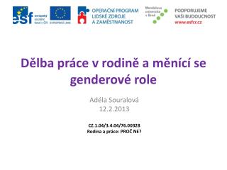 Dělba práce v rodině a měnící se genderové role