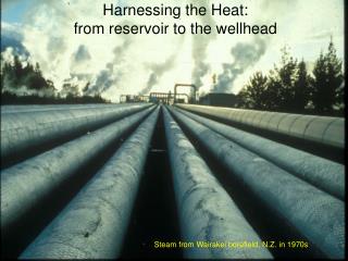 Harnessing the Heat: from reservoir to the wellhead