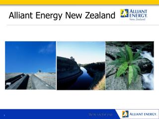 Alliant Energy New Zealand