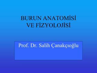 BURUN ANATOMİSİ VE FİZYOLOJİSİ