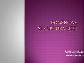 Domenowa struktura sieci