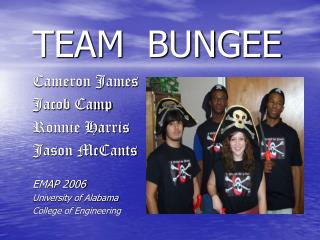 TEAM BUNGEE