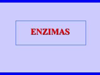 ENZIMAS