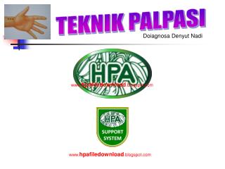 TEKNIK PALPASI