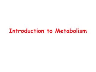 Introduction to Metabolism