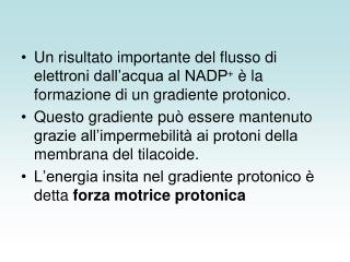 Produzione dei protoni (H+)