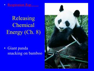 Releasing Chemical Energy (Ch. 8)