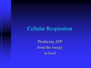 Cellular Respiration