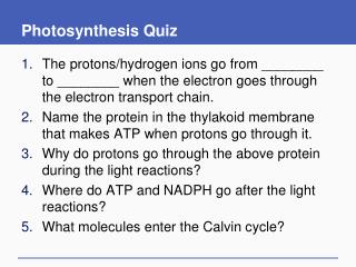 Photosynthesis Quiz