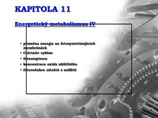 KAPITOLA 11