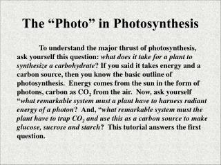 The “Photo” in Photosynthesis