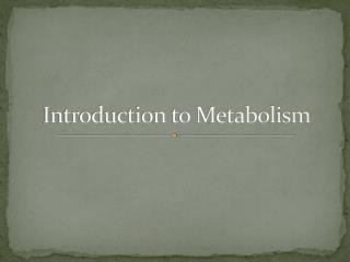 Introduction to Metabolism