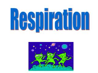 Respiration