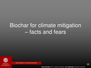 Biochar for climate mitigation – facts and fears
