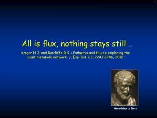 All is ﬂux, nothing stays still …