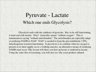 Pyruvate - Lactate