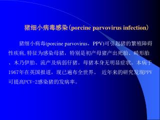 猪细小病毒感染( porcine parvovirus infection )