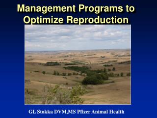 Management Programs to Optimize Reproduction