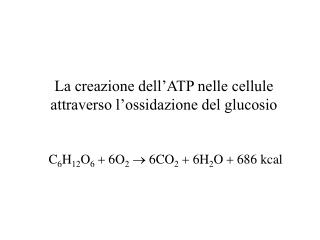 Enzimi ed ATP (nelle reazioni chimiche)